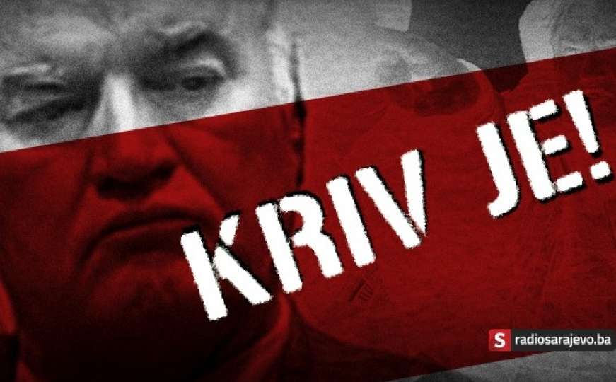 Konačna presuda: Doživotna kazna zatvora za zločinca Ratka Mladića